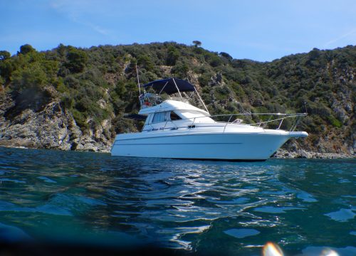 RODMAN 900 Fly-1999 (66)
